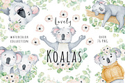 Lovely Koalas and Eucalyptus
