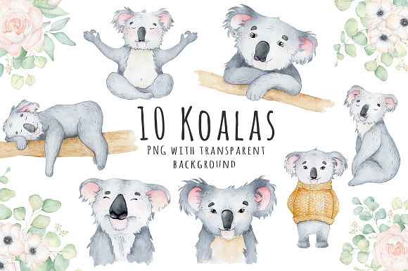 Lovely Koalas and Eucalyptus in Illustrations - product preview 1
