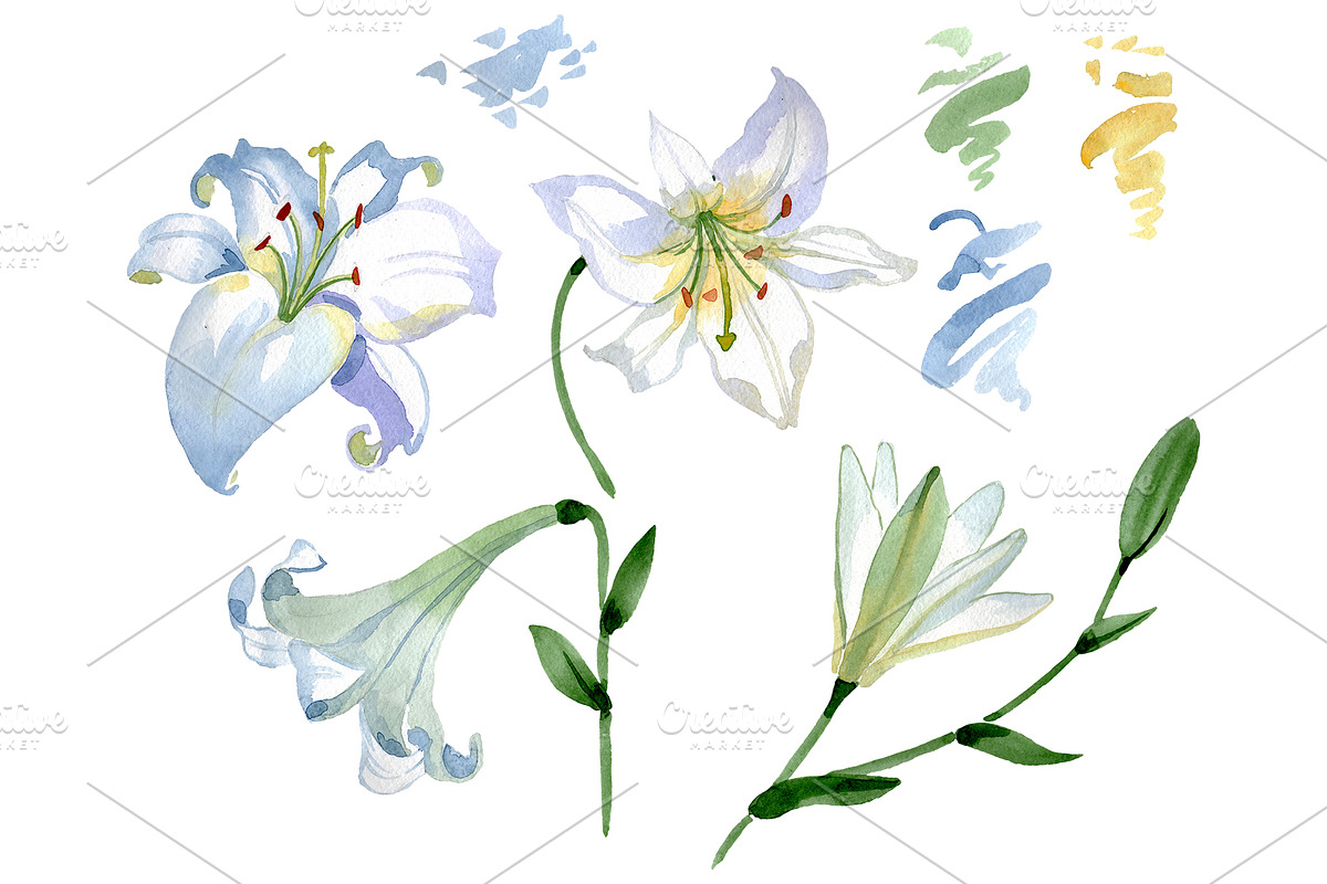 Lily white gift of nature watercolor in Illustrations - product preview 8