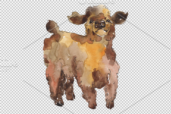 Farm animals: cow,calf Watercolor in Illustrations - product preview 5