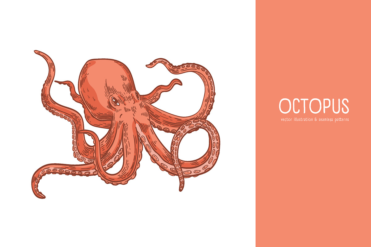 Octopus illustration and seamless in Illustrations - product preview 8