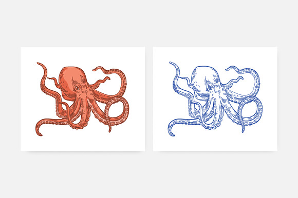 Octopus illustration and seamless in Illustrations - product preview 1