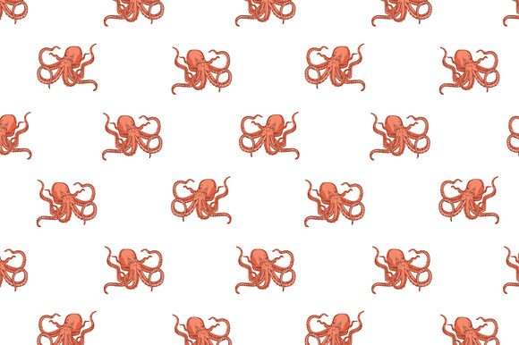 Octopus illustration and seamless in Illustrations - product preview 2
