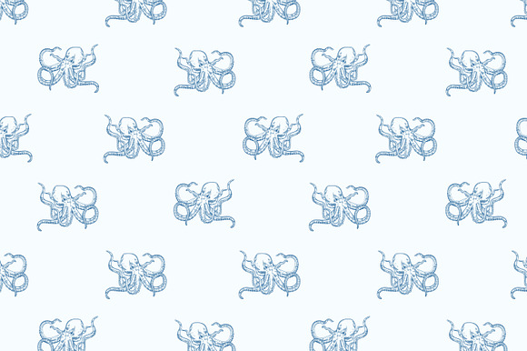 Octopus illustration and seamless in Illustrations - product preview 4