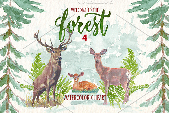watercolor in the forest clipart in Illustrations - product preview 1