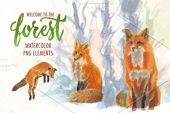 watercolor in the forest clipart in Illustrations - product preview 3
