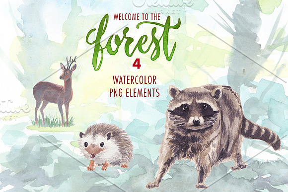 watercolor in the forest clipart in Illustrations - product preview 4