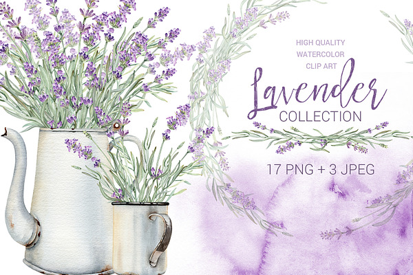 Watercolor vintage lavender clip art