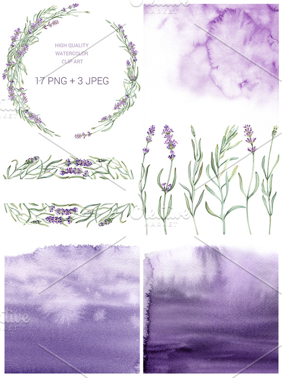 Watercolor vintage lavender clip art in Illustrations - product preview 1