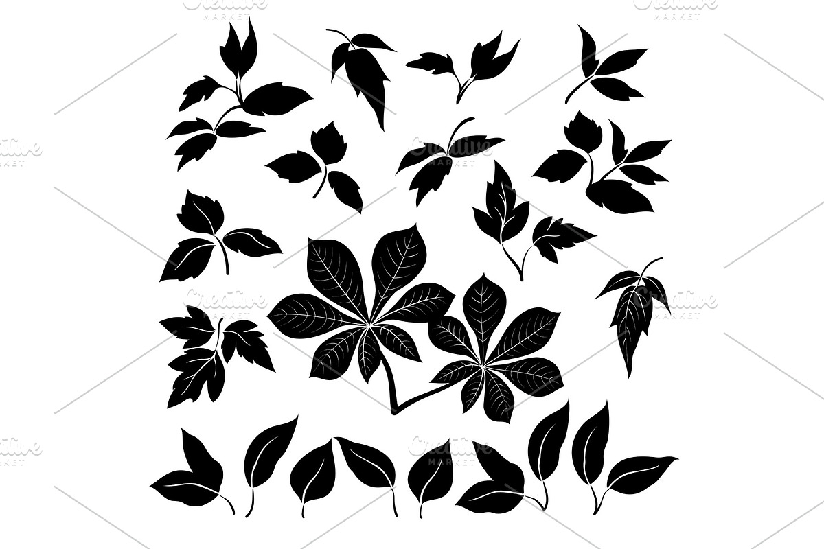 Leaves, black silhouettes in Objects - product preview 8