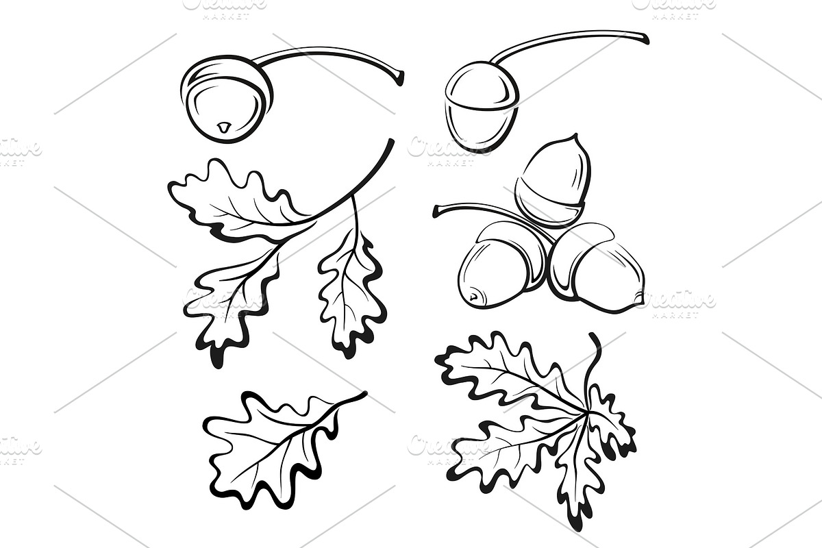 Oak Leaves and Acorns Pictograms in Objects - product preview 8