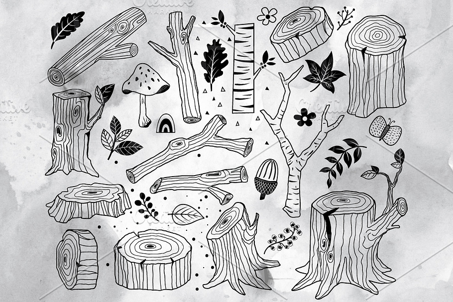 Hand Draw Wood Collections Set