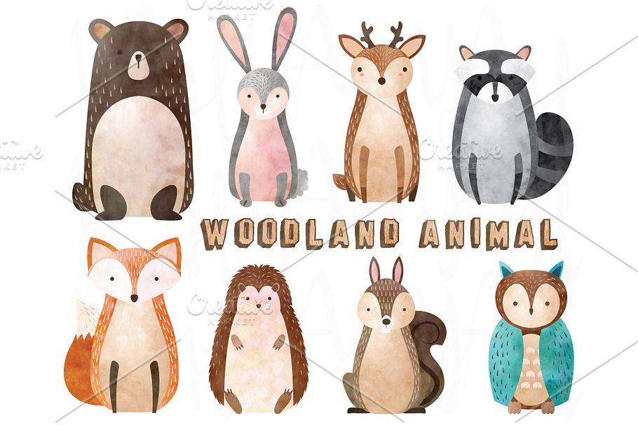 Watercolor woodland animal elements