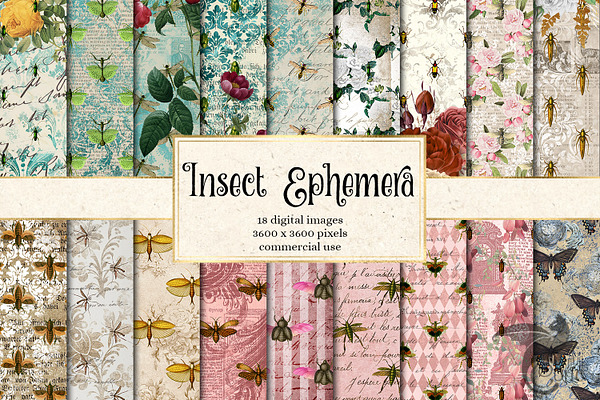 Insect Ephemera Digital Paper