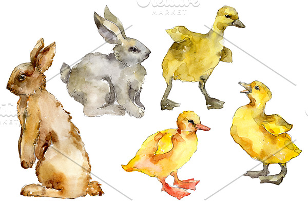 Agriculture: Rabbit, ducklings