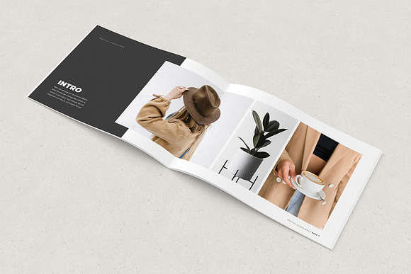 Noctua Brand Guidelines in Brochure Templates - product preview 9