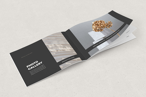 Noctua Brand Guidelines in Brochure Templates - product preview 10