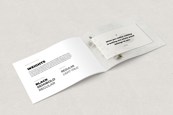 Noctua Brand Guidelines in Brochure Templates - product preview 12