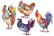 Agriculture: cock, hen Watercolor