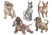Farm animals: dogs Watercolor png