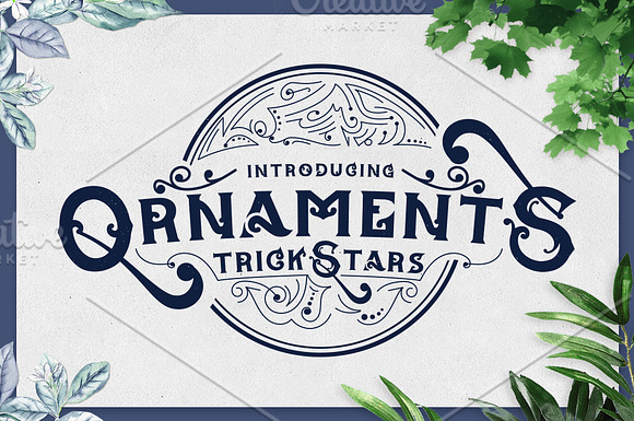 TrickStars Font + Extra Ornaments in Display Fonts - product preview 2