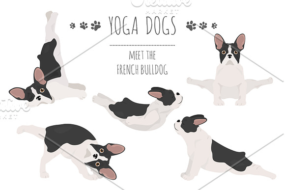 Yoga dogs collection (vol.1) in Illustrations - product preview 1