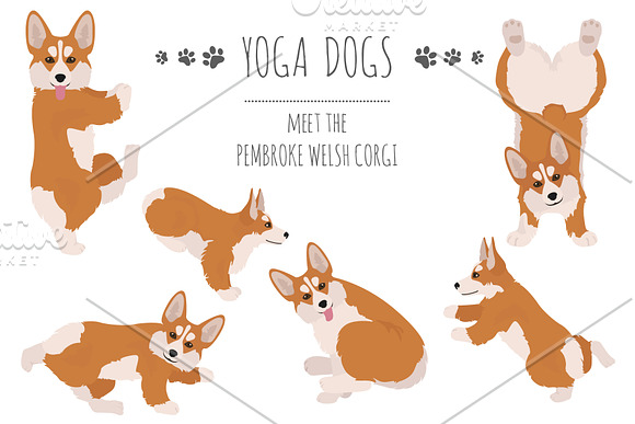 Yoga dogs collection (vol.1) in Illustrations - product preview 6