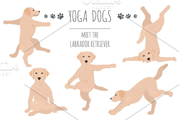 Yoga dogs collection (vol.1) in Illustrations - product preview 8
