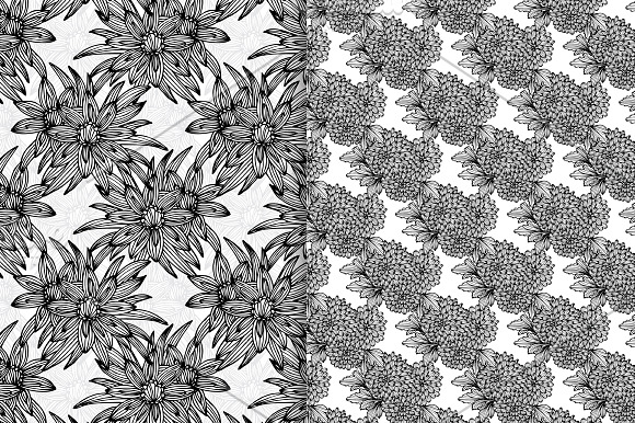 Black and White Floral Patterns(5) in Textures - product preview 1
