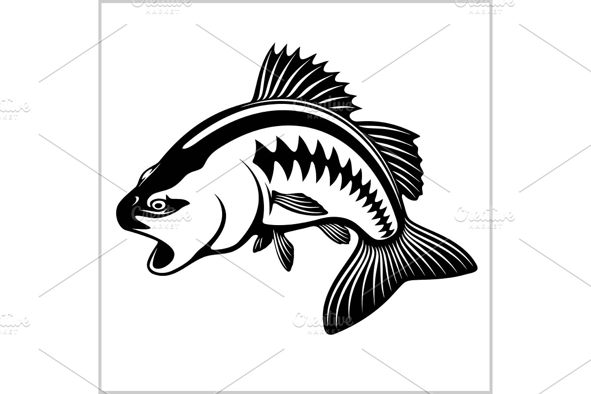 Fishing logo. Bass fish club emblem in Illustrations - product preview 8