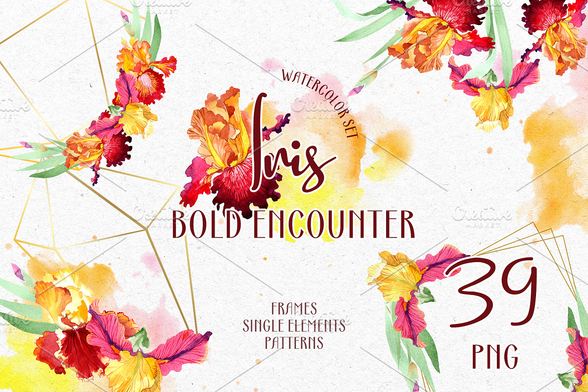 Iris. Bold encounter Watercolor png in Illustrations - product preview 8