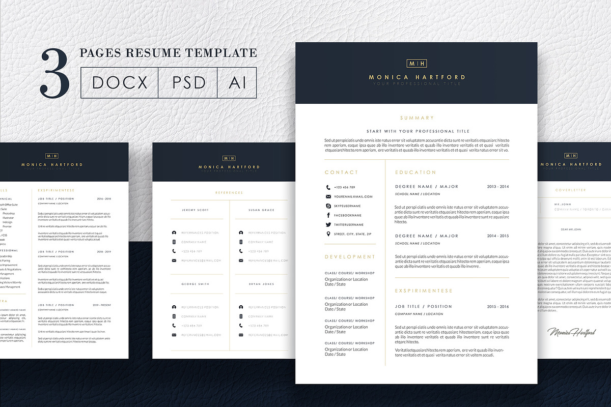 3 Pages Elegant Resume/CV Template M in Letter Templates - product preview 8