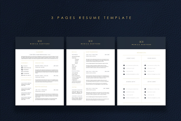 3 Pages Elegant Resume/CV Template M in Letter Templates - product preview 1