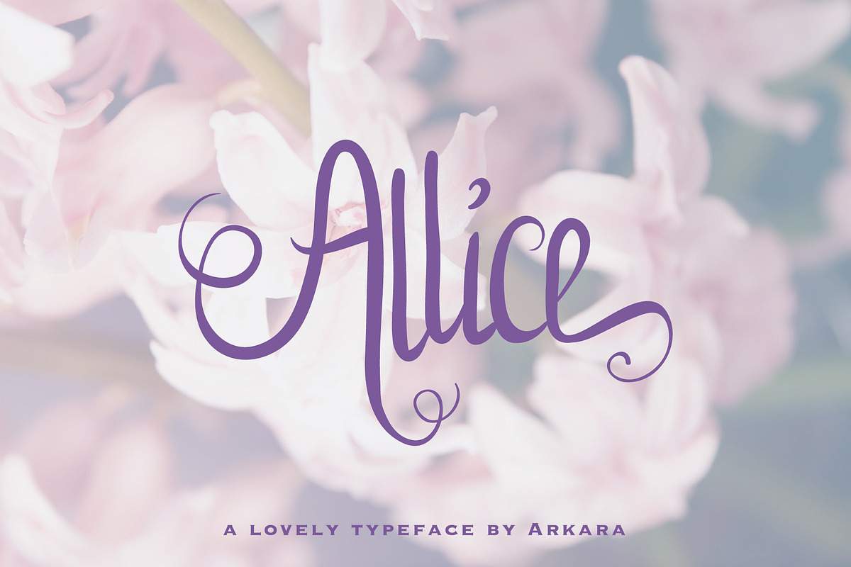 Allice + Extras 20% OFF in Script Fonts - product preview 8