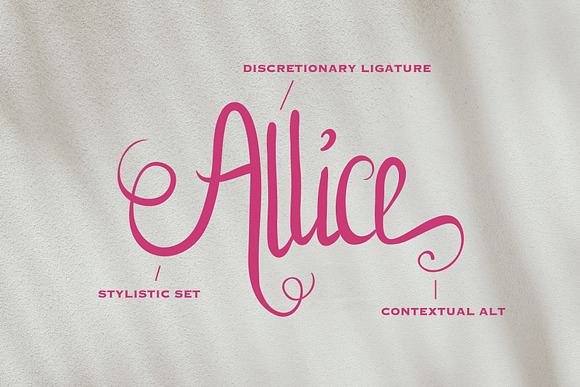 Allice + Extras 20% OFF in Script Fonts - product preview 1