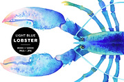 Blue Lobster Watercolor Illustration