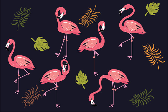 Flamingo Tropical Bird Letter Vector in Symbol Fonts - product preview 1