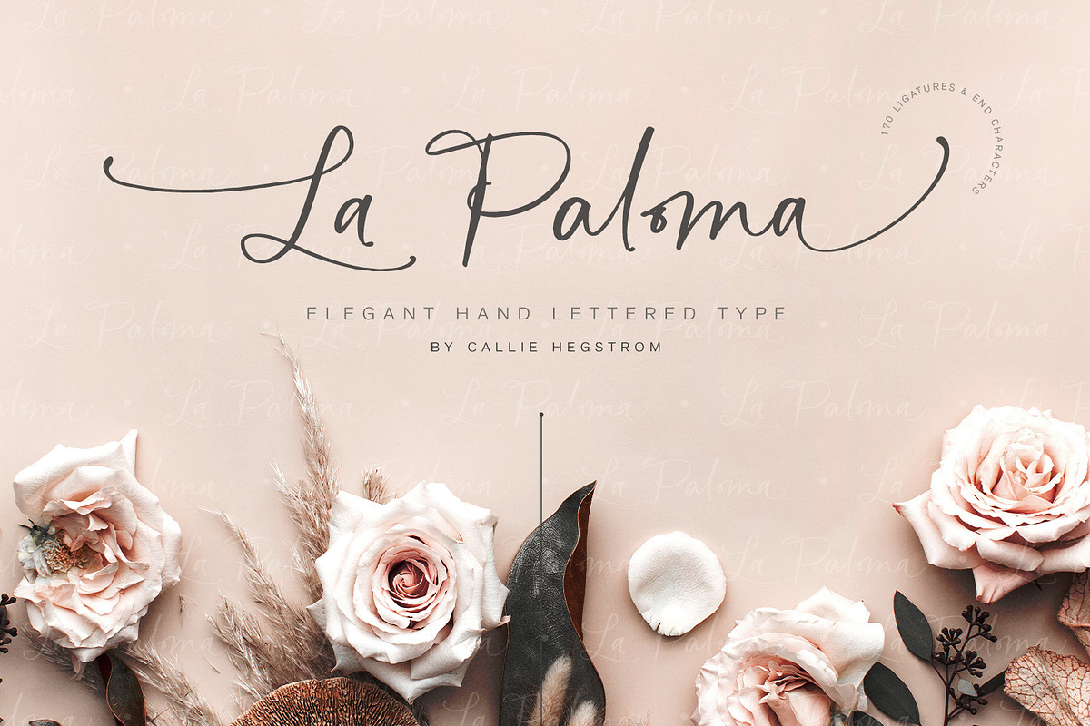 La Paloma Script + Catchwords in Script Fonts - product preview 8