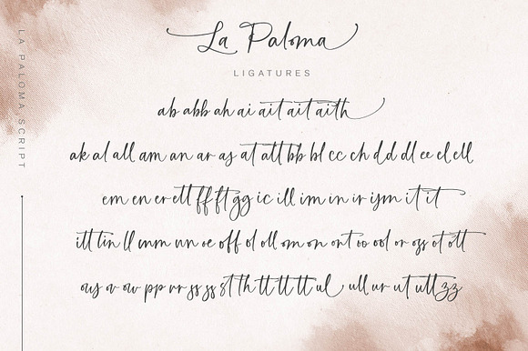 La Paloma Script + Catchwords in Script Fonts - product preview 17