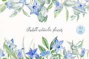 Bluebell watercolor flowers