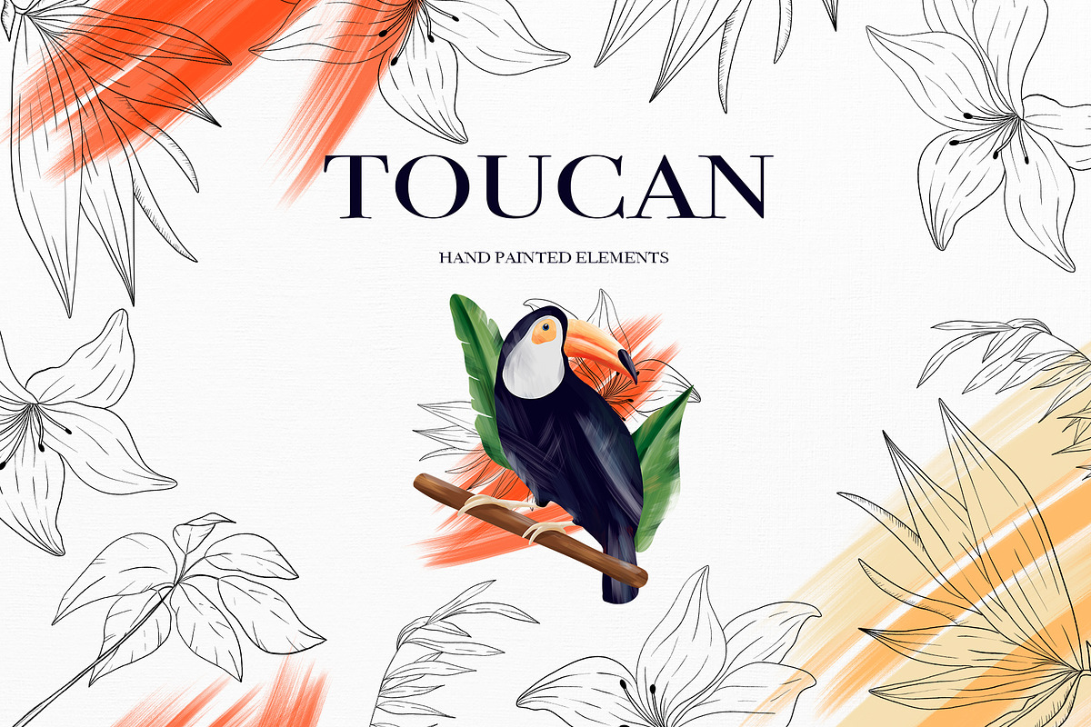 Toucan. Tropical collection in Illustrations - product preview 8