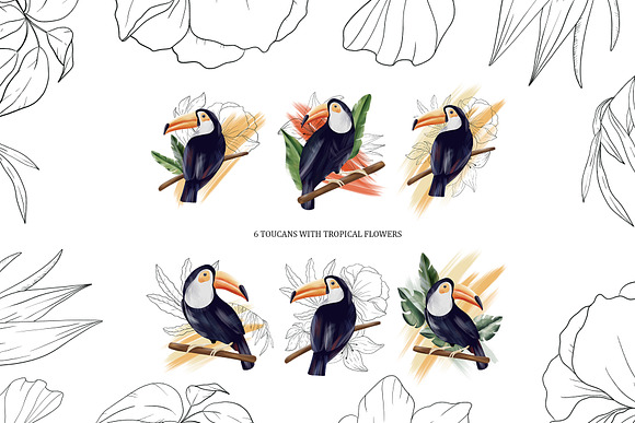 Toucan. Tropical collection in Illustrations - product preview 2