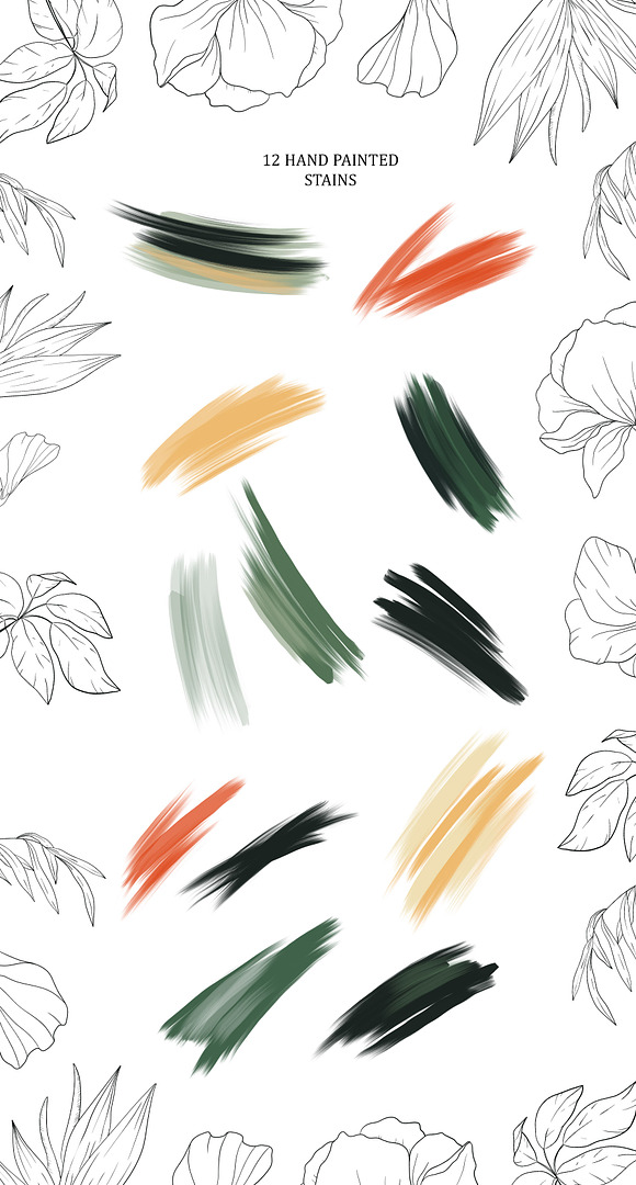 Toucan. Tropical collection in Illustrations - product preview 3