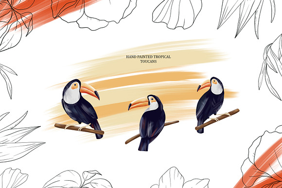 Toucan. Tropical collection in Illustrations - product preview 7