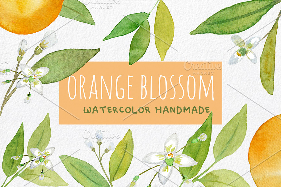 Orange Blossom - Watercolor handmade