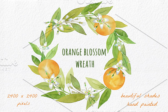Orange Blossom - Watercolor handmade in Illustrations - product preview 2