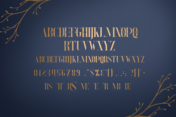 Explorers - Serif font + Extras in Serif Fonts - product preview 6
