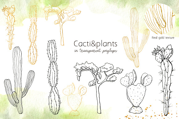Llamas: cacti party. Watercolor in Illustrations - product preview 4
