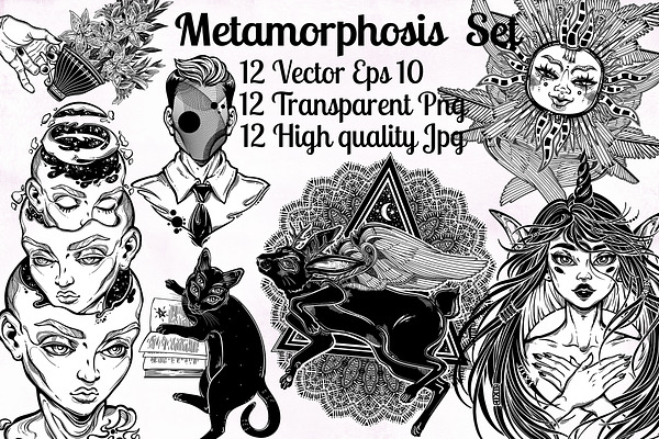 Metamorphosis Set