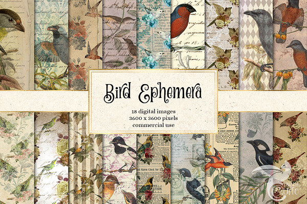 Bird Ephemera Digital Paper